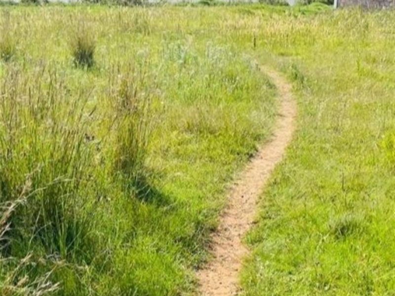 Vacant Land For Sale in Paulpietersburg, KwaZulu Natal - Photo 2