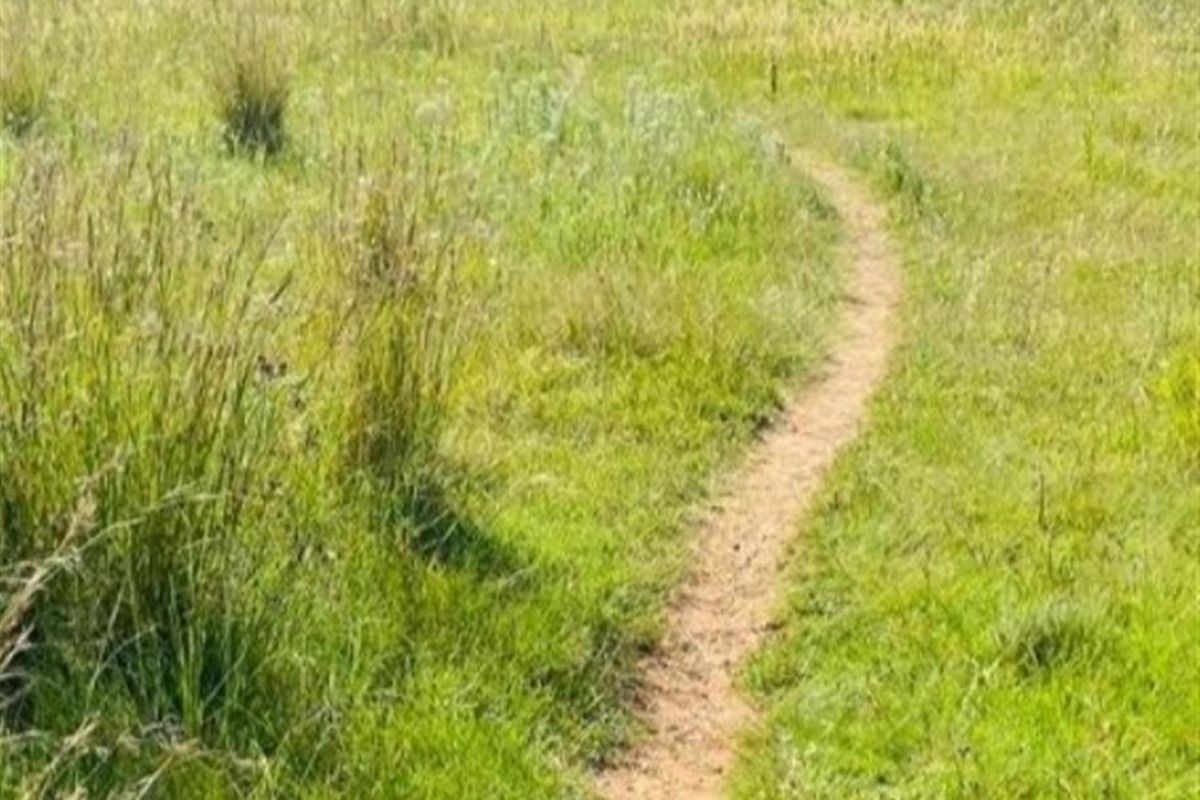Vacant Land For Sale in Paulpietersburg, KwaZulu Natal - Photo 2