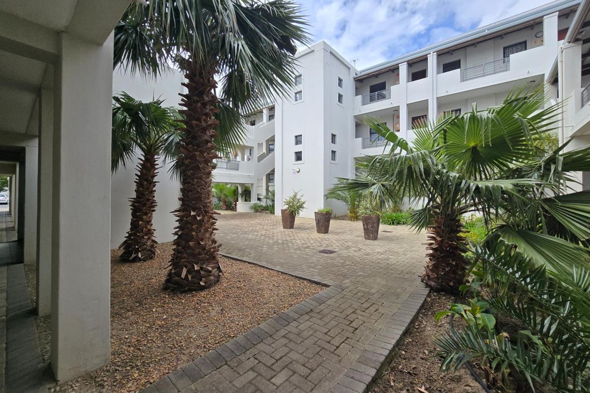 A view of the apartment complex courtyard featuring paved walkways, established palm trees, and multi-level building facades with balconies.