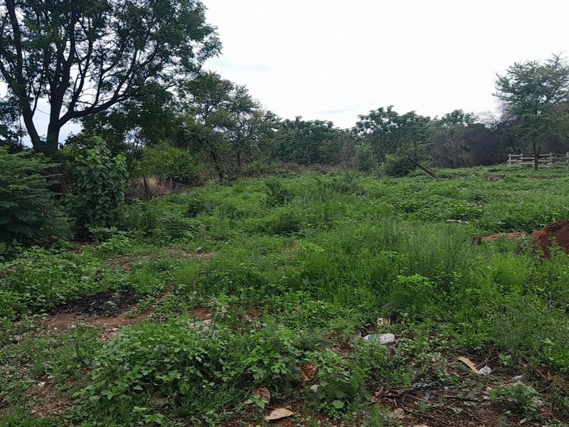 Investors Paradise-Plot - Photo 3