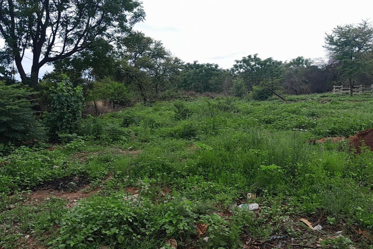 Investors Paradise-Plot - Photo 3