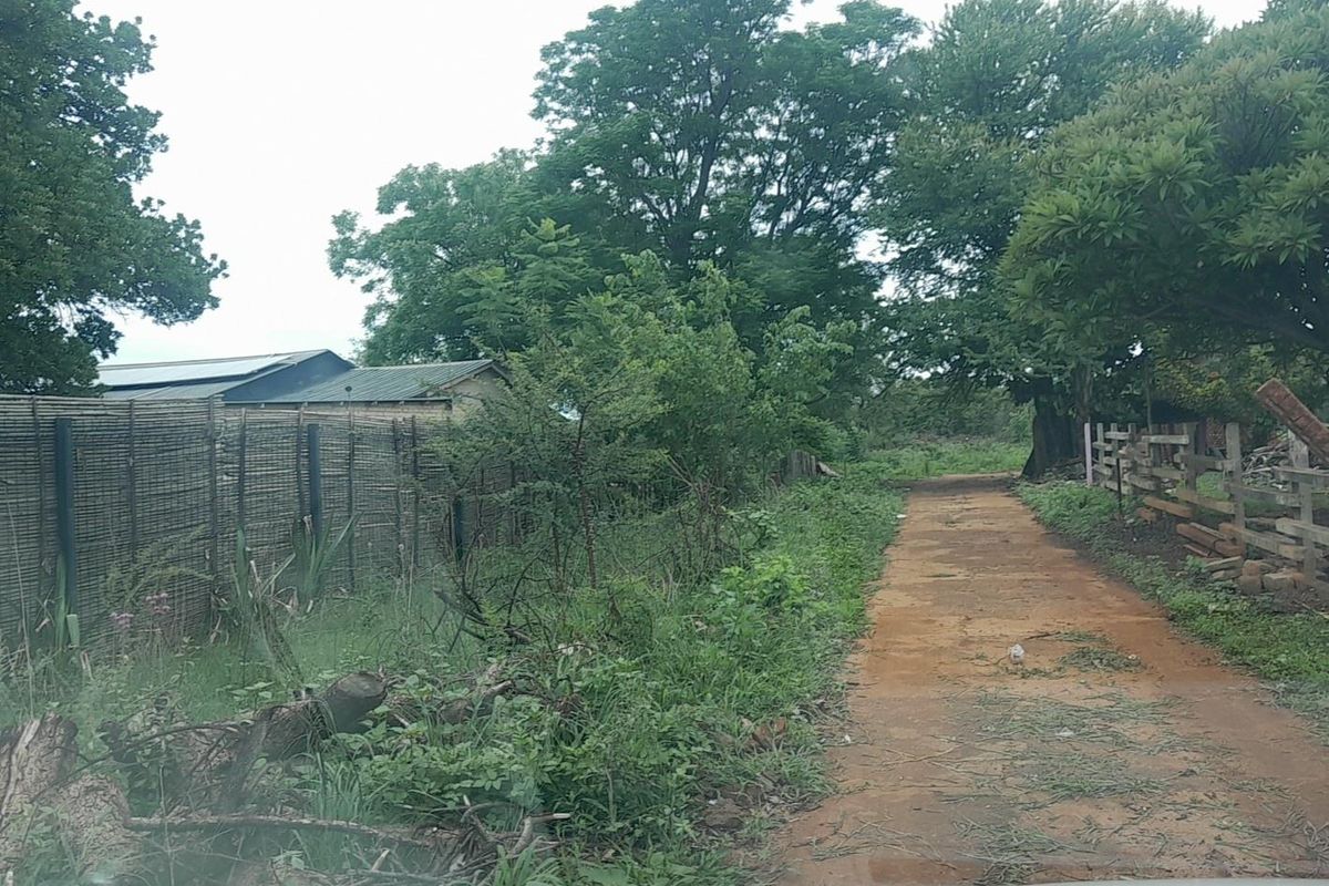 Investors Paradise-Plot - Photo 5