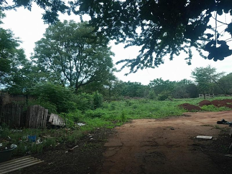 Investors Paradise-Plot - Photo 4