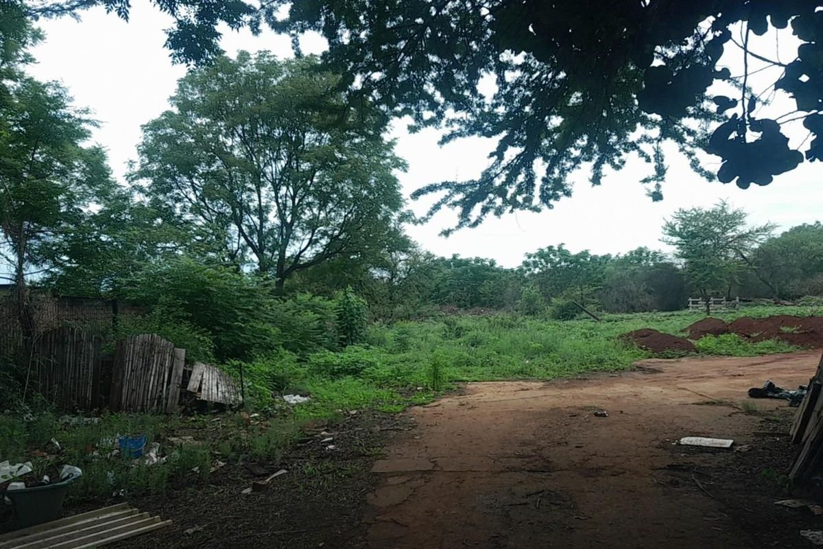 Investors Paradise-Plot - Photo 4