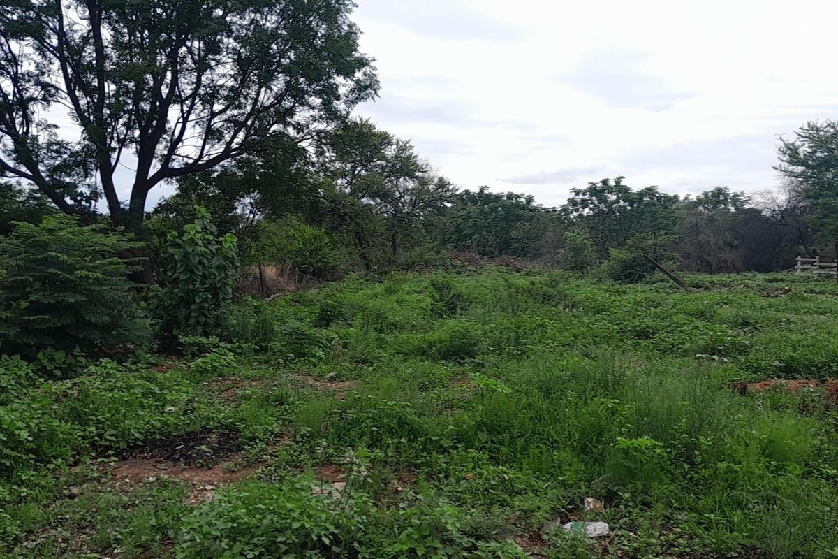 Investors Paradise-Plot - Photo 2