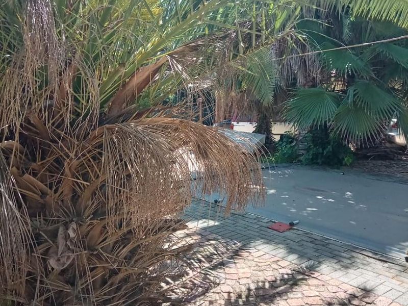 4 Bedroom House For Sale in East Lynne, Pretoria - Photo 10