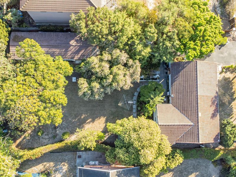 Two Dwelling Excellence in the Heart of Flamingo Vlei - Photo 3