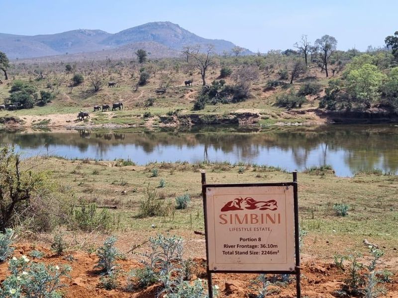 A scenic view of the river frontage and natural landscape at Simbini Lifestyle Estate, featuring a 2246m² stand with 36.10m of river access.
