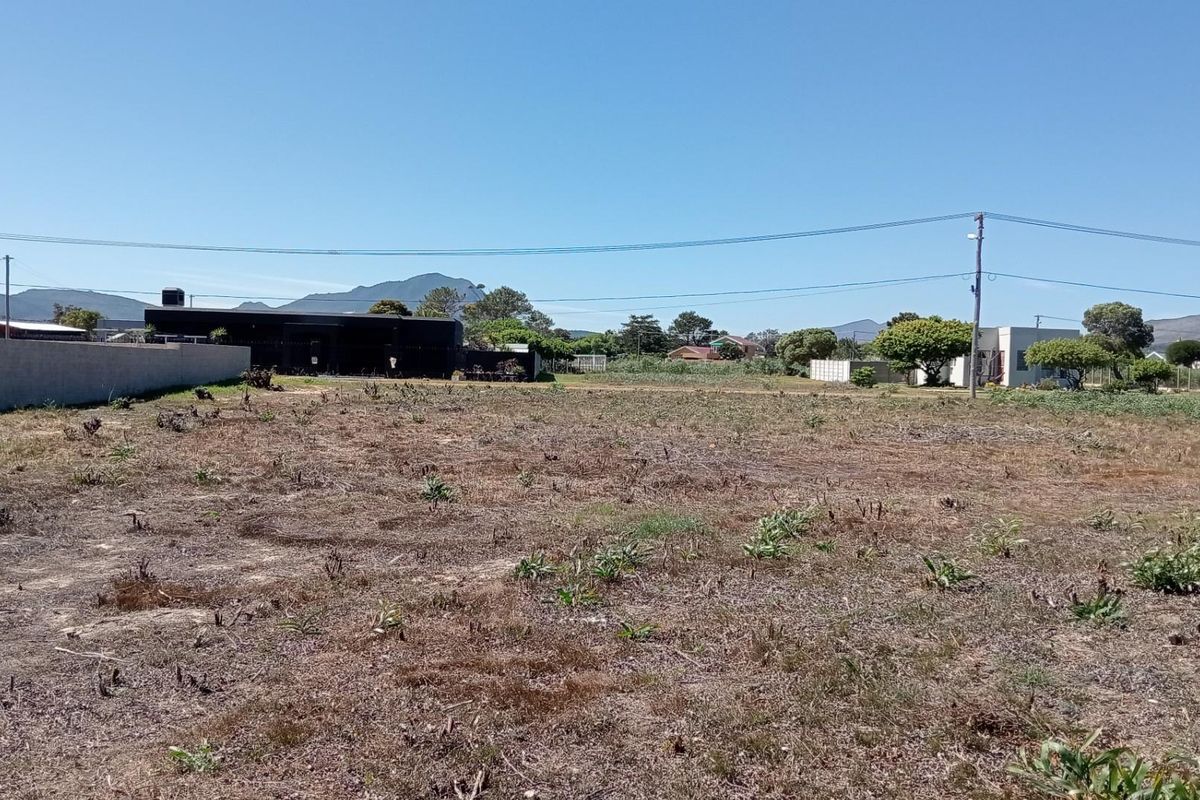 A vacant residential plot of land featuring a boundary wall and utility pole, offering a clear space for future development.