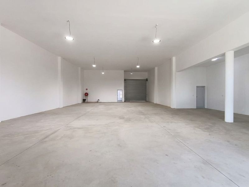 Spacious, open-plan industrial warehouse unit featuring polished concrete floors, high ceilings with pendant lighting, and a secure roller shutter door for easy access.