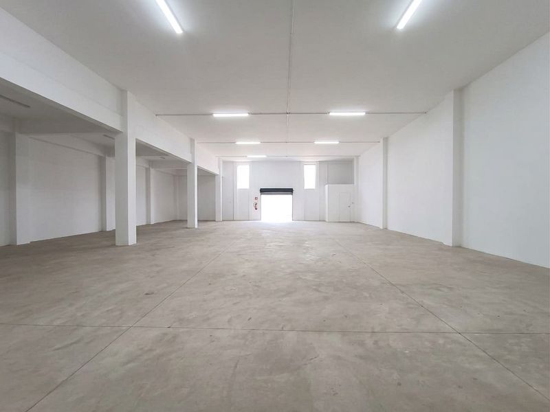 Spacious, open-plan industrial warehouse unit featuring polished concrete flooring, high ceilings with strip lighting, and a large roller shutter access door.