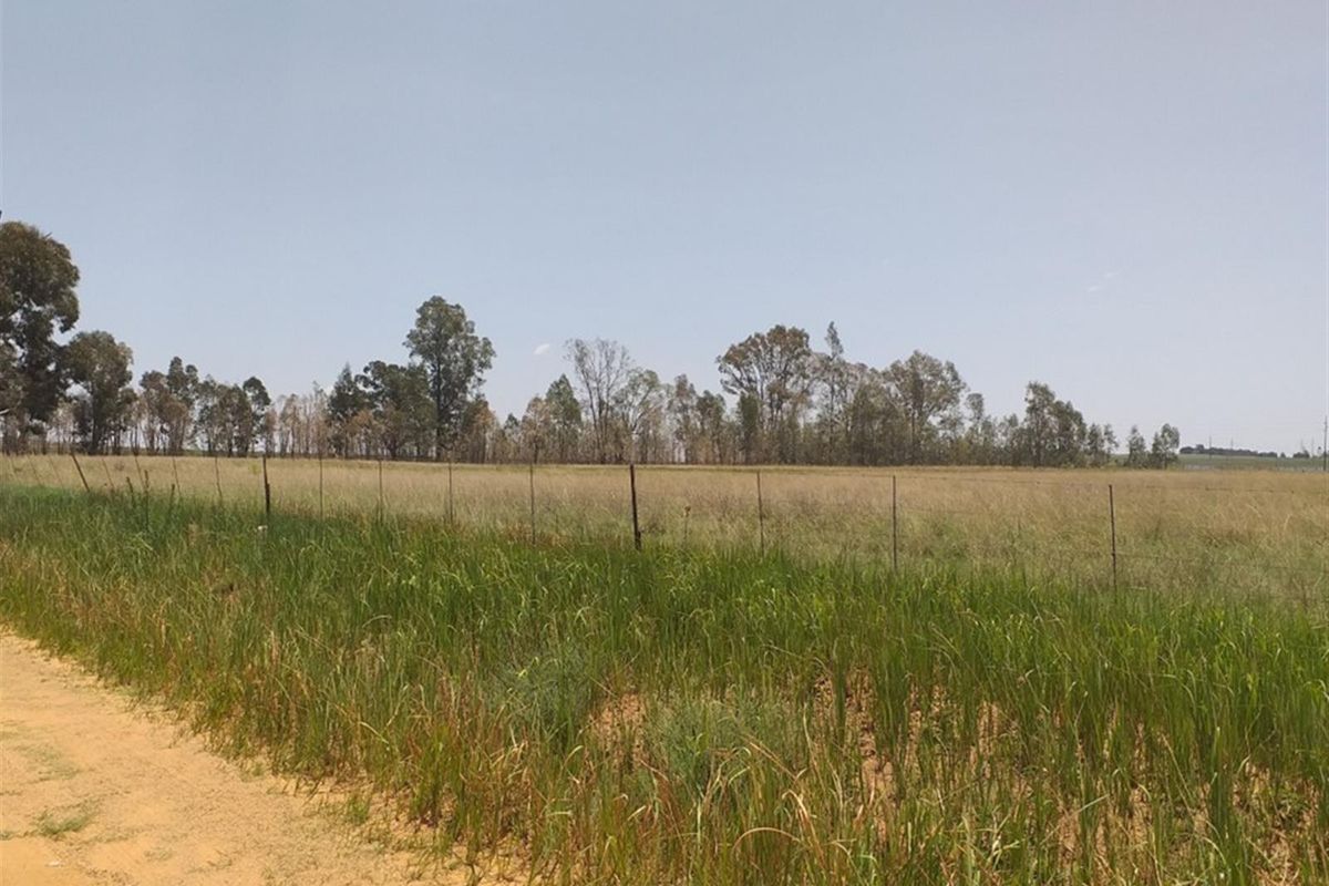 Farm For Sale in Wachtenbietjeskop, Bronkhorstspruit Rural Bronkhorstspruit Gauteng - Photo 4