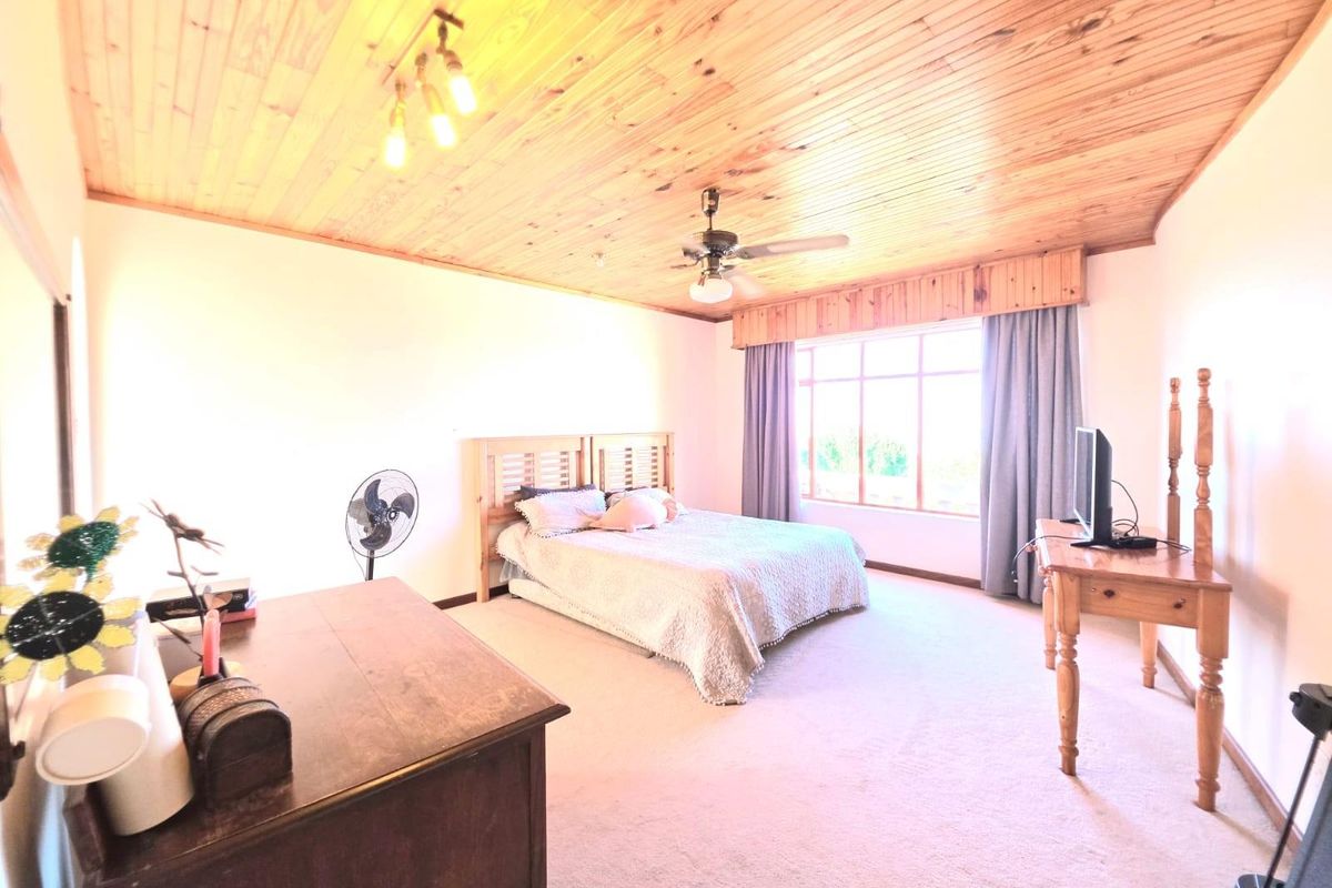 Spacious bedroom featuring a high timber-clad ceiling, ceiling fan, and large window providing natural light.