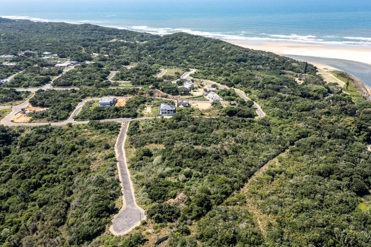 Aerial view of a residential estate featuring paved roads, established coastal vegetation, and proximity to the beach and river mouth.