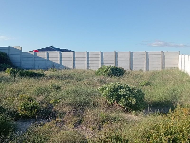 Prime Perlemoenbaai Stand with Commanding Mountain Views - Photo 3