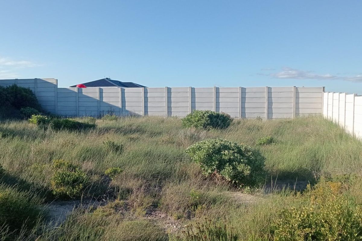 Prime Perlemoenbaai Stand with Commanding Mountain Views - Photo 3