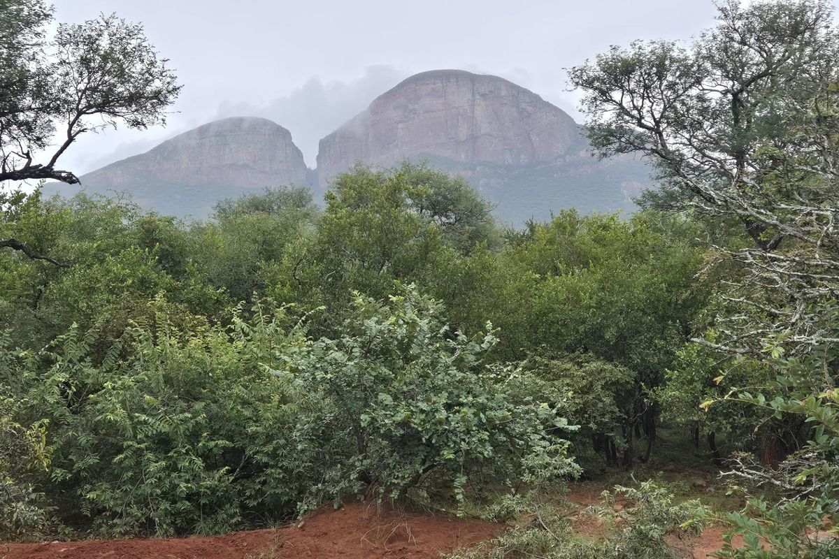 Plot against the slopes of the Drakensberg Mountains with Limpopo view - Photo 2