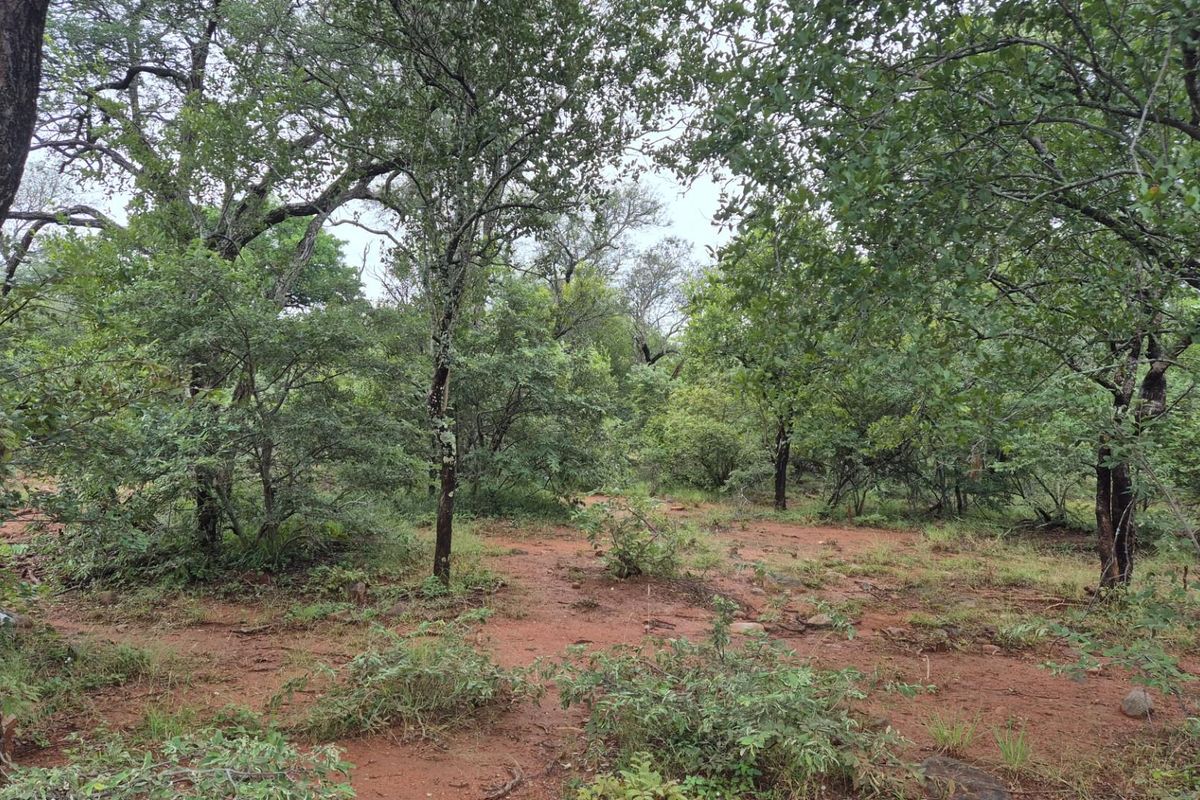 A view of a vacant residential plot featuring natural bushveld vegetation and mature indigenous trees on red soil.