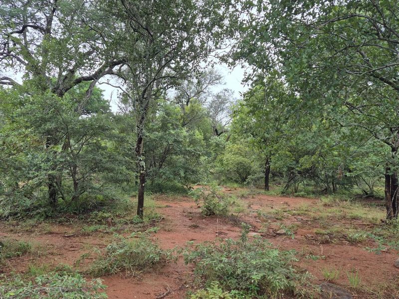 Plot against the slopes of the Drakensberg Mountains with Limpopo view - Photo 7