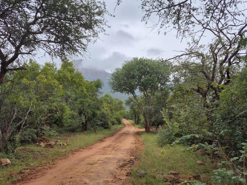 Plot against the slopes of the Drakensberg Mountains with Limpopo view - Photo 6