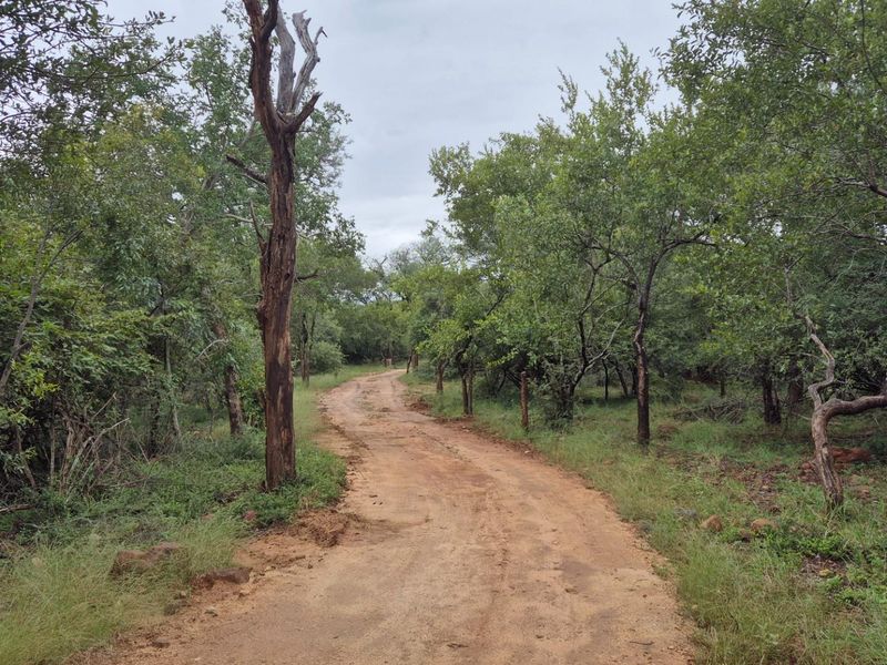 Plot against the slopes of the Drakensberg Mountains with Limpopo view - Photo 5