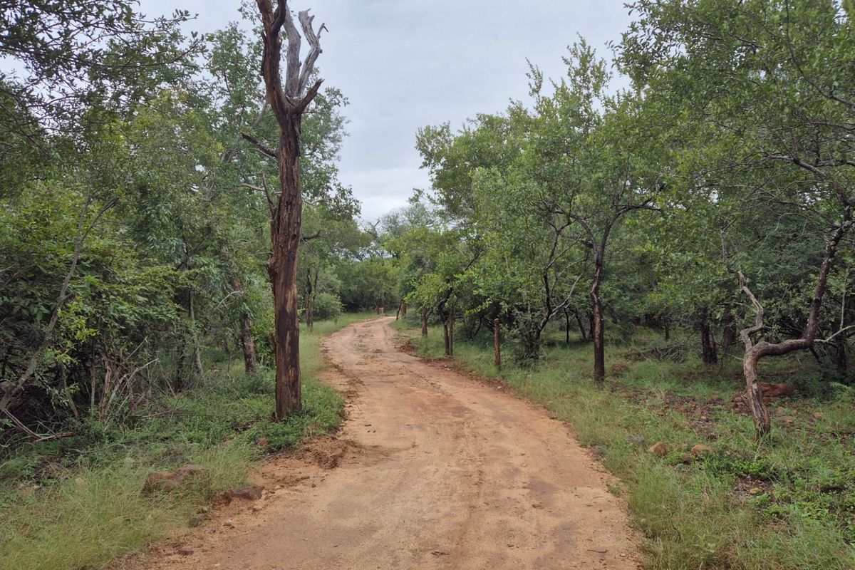 Plot against the slopes of the Drakensberg Mountains with Limpopo view - Photo 5