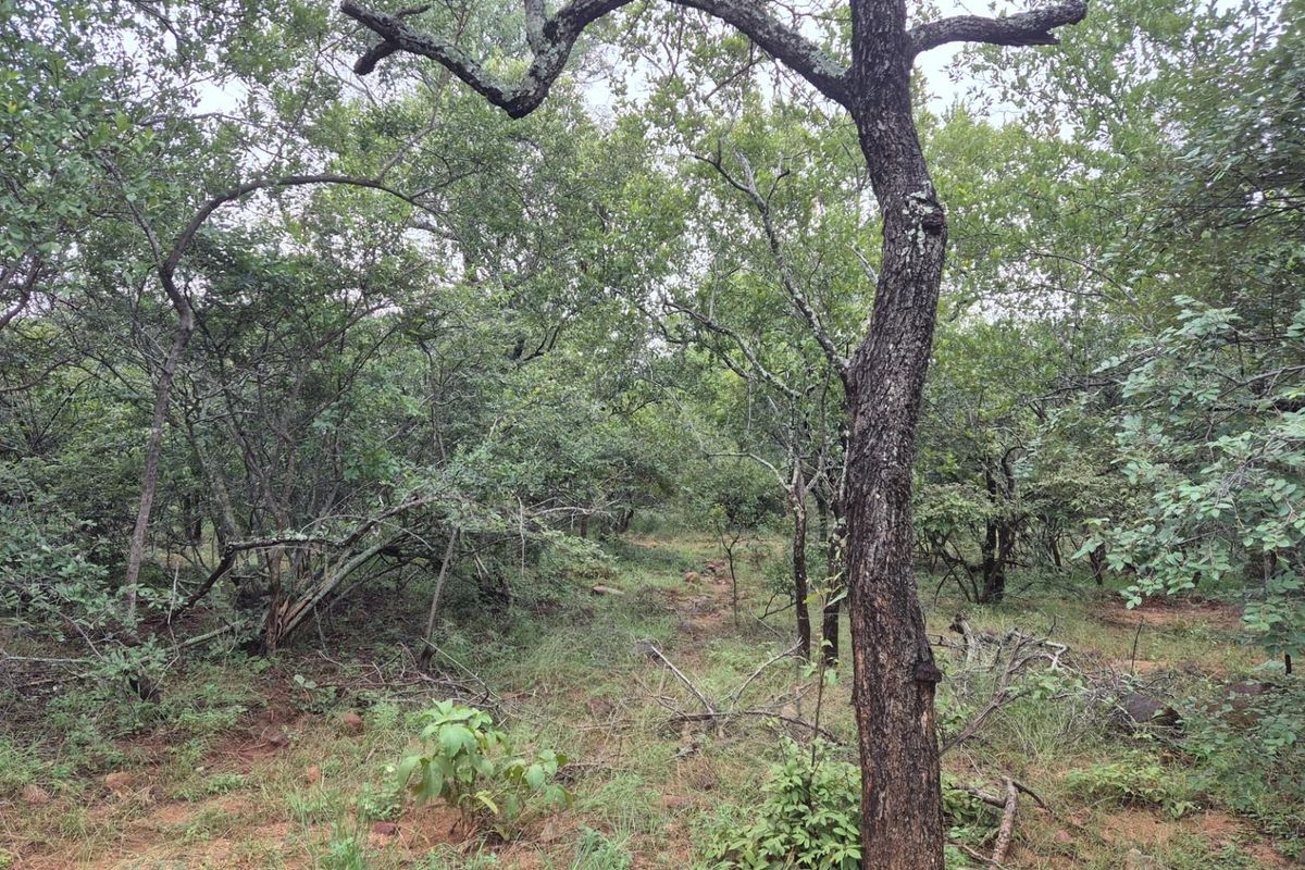 Plot against the slopes of the Drakensberg Mountains with Limpopo view - Photo 3