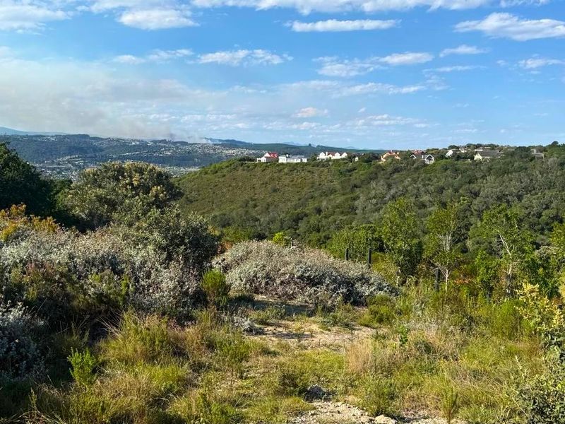 House For Sale in Fernwood Estate, Knysna - Photo 7