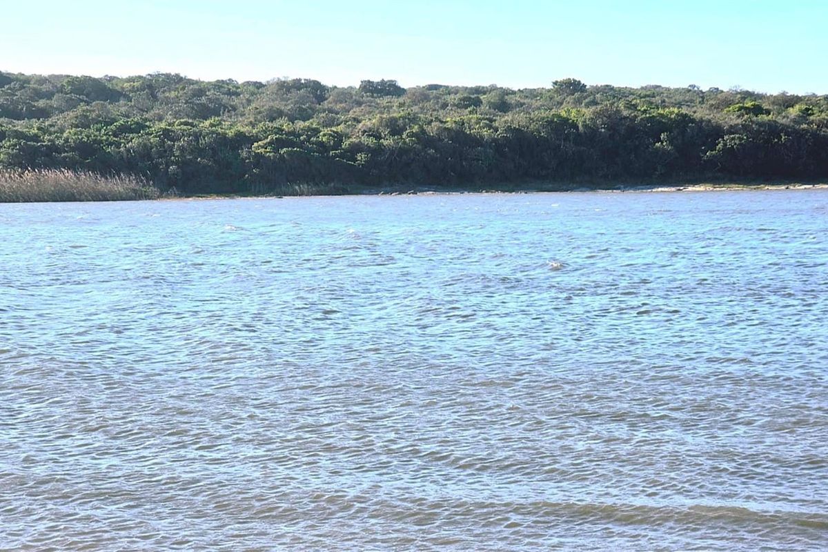 Prime Riverside Vacant Land for Sale in Mvubu River Reserve Jeffreys Bay | North-Facing 2541m2 Stand - Photo 3