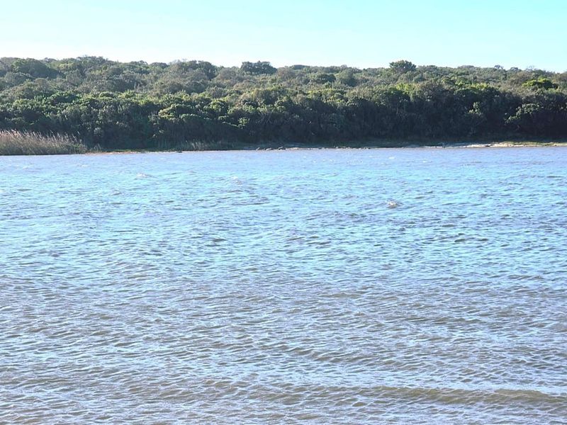 Prime Riverside Vacant Land for Sale in Mvubu River Reserve Jeffreys Bay | North-Facing 2541m2 Stand - Photo 3