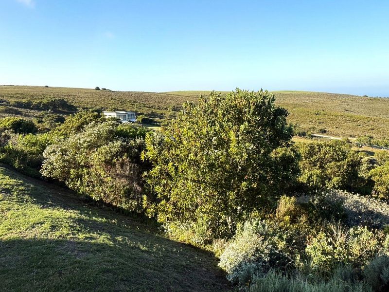 Vacant Land For Sale in Fernwood Estate, Knysna - Photo 7