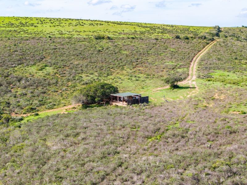 Game Farm For Sale - Photo 10