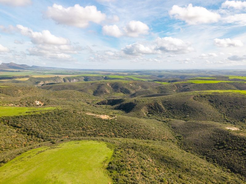 Game Farm For Sale - Photo 5
