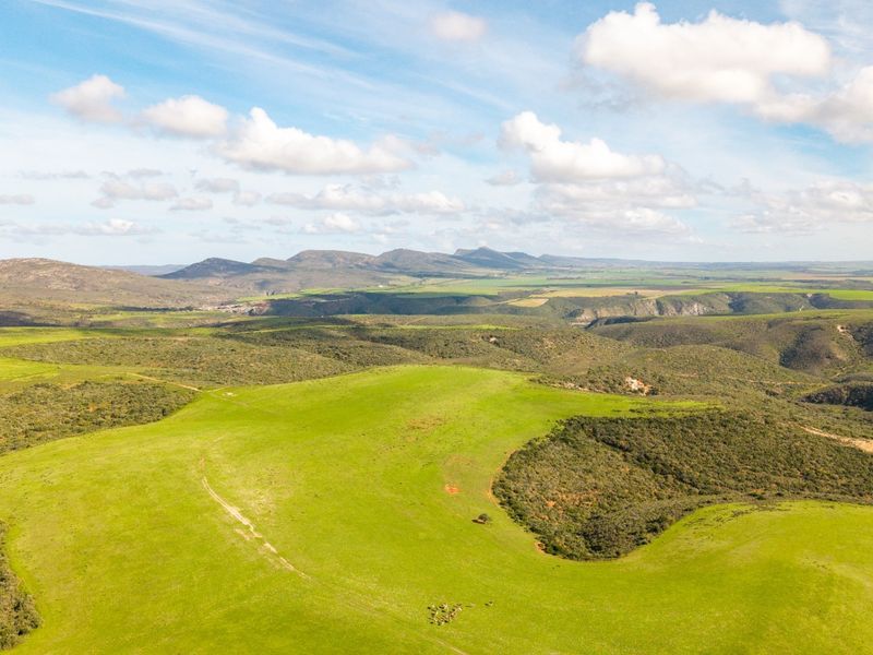 Game Farm For Sale - Photo 4