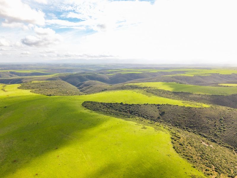 Game Farm For Sale - Photo 3