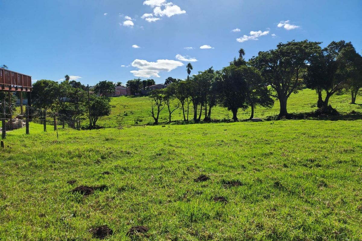 A view of the expansive, grassy vacant residential land featuring mature trees and a gentle slope, suitable for future development.