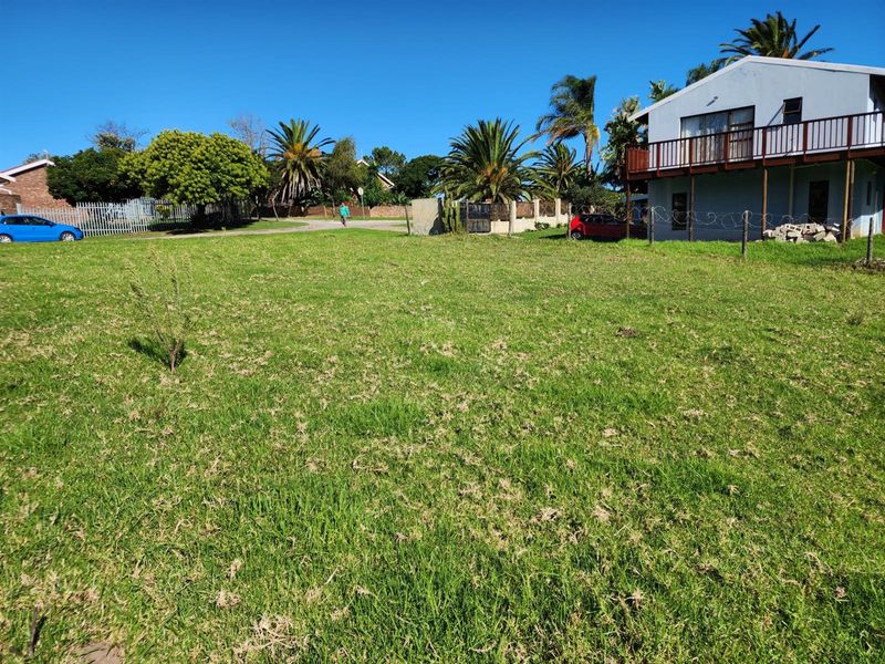 A vacant residential plot featuring established grass cover, perimeter fencing, and mature palm trees, situated in a developed neighborhood setting.