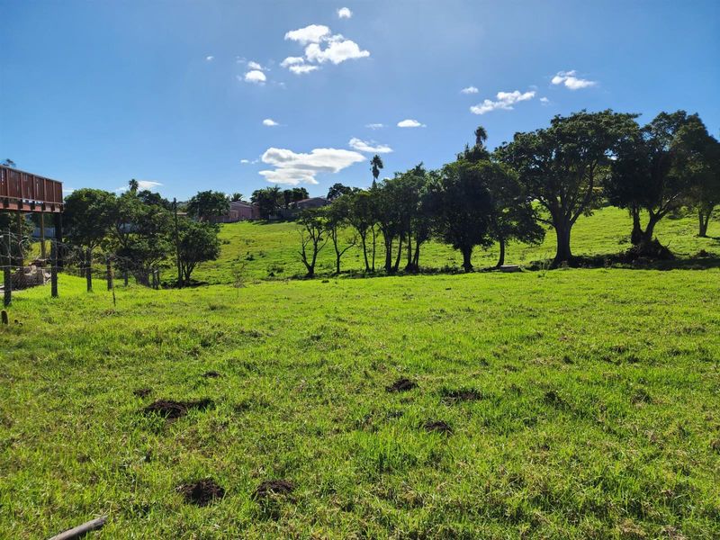 A view of the expansive, grassy vacant residential land featuring mature trees and a gentle slope, suitable for future development.