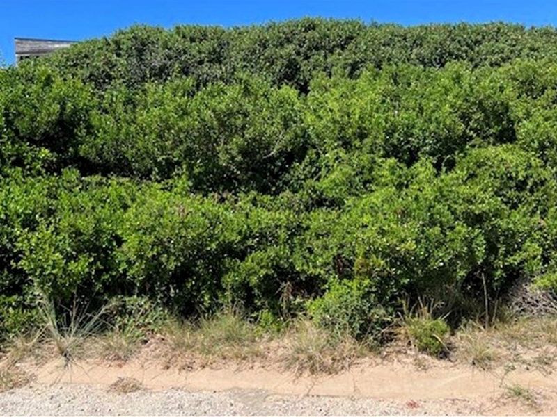 Prime 851sqm Sea View Stand in Paradise Beach | Build Your Dream Coastal Home - Photo 8