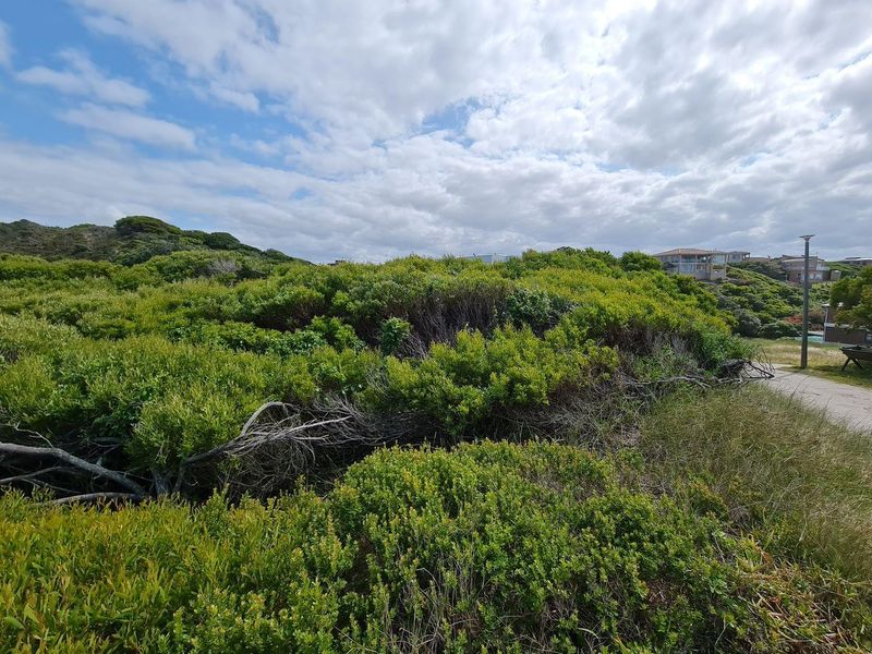 Vacant Land For Sale in Jeffreys Bay - Photo 9