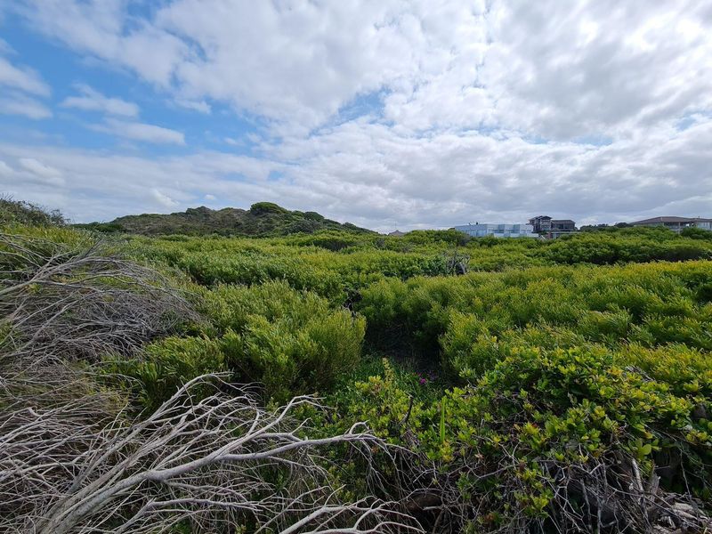 Vacant Land For Sale in Jeffreys Bay - Photo 8