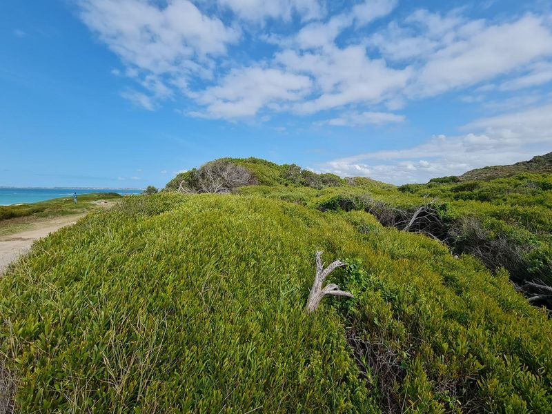 Vacant Land For Sale in Jeffreys Bay - Photo 5