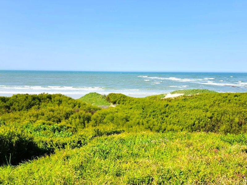 A scenic view of the coastline featuring natural dune vegetation and an expansive ocean horizon.