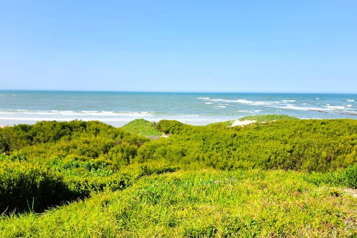 A scenic view of the coastline featuring natural dune vegetation and an expansive ocean horizon.