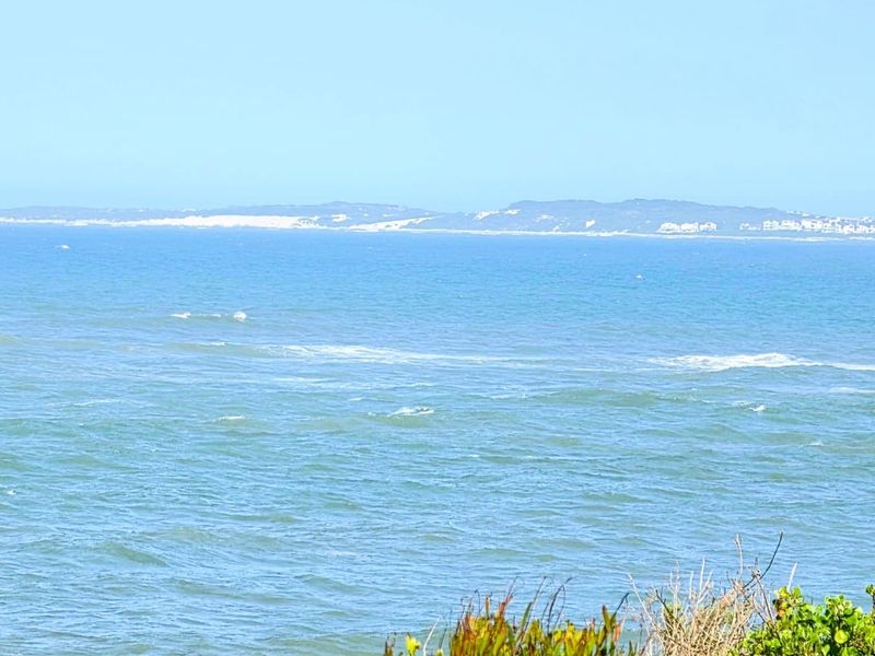 A scenic coastal view overlooking the ocean and distant shoreline, capturing the natural landscape and horizon.