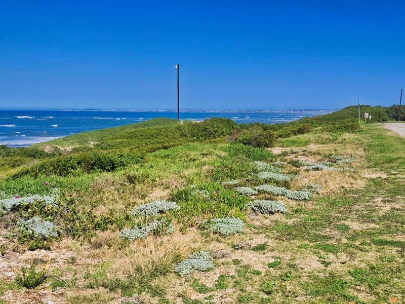A scenic view of the coastline featuring natural vegetation and an adjacent unpaved road, showcasing the property's coastal location.