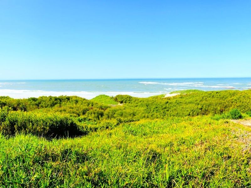 A scenic view of the coastal landscape featuring lush green vegetation, sand dunes, and the ocean horizon.
