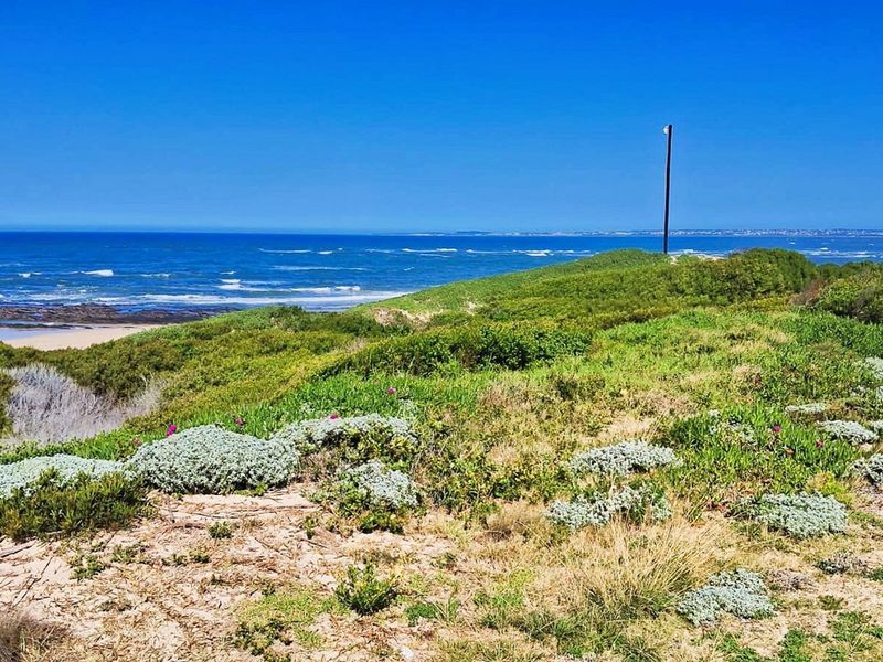 A scenic view of the coastline featuring natural dune vegetation and an expansive ocean horizon.