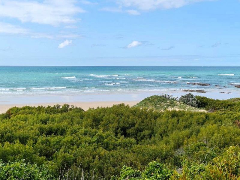 A scenic view of the coastline featuring native coastal vegetation, sandy beach, and ocean waves.