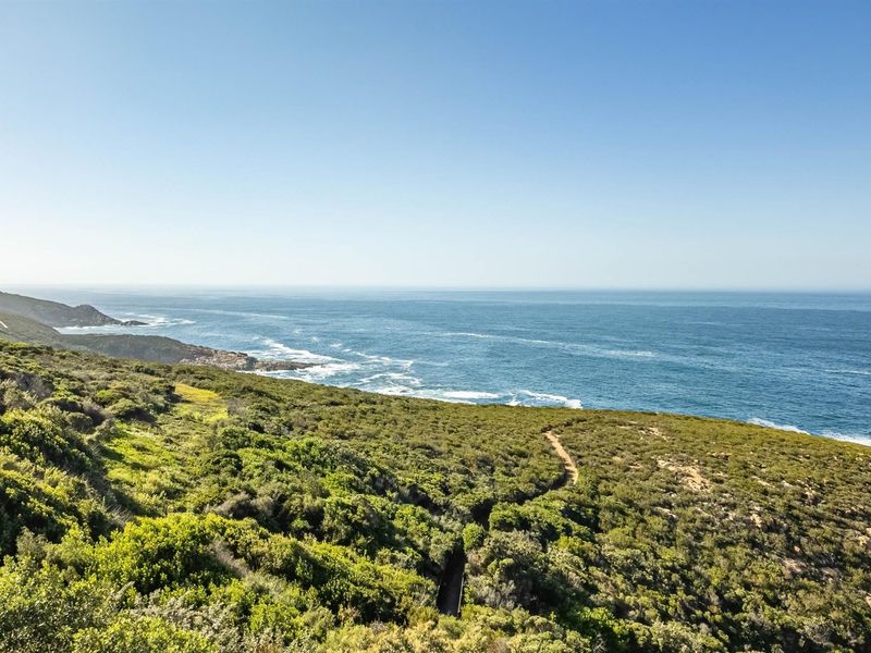 A scenic elevated view overlooking the coastal landscape, featuring natural vegetation and an expansive ocean horizon.